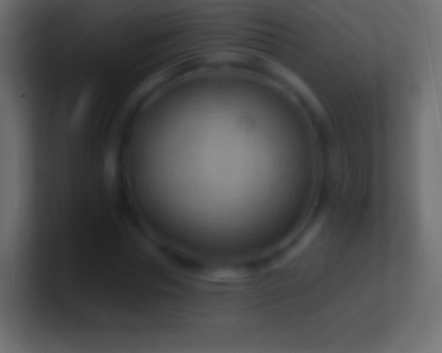 X0000100780826200807031229