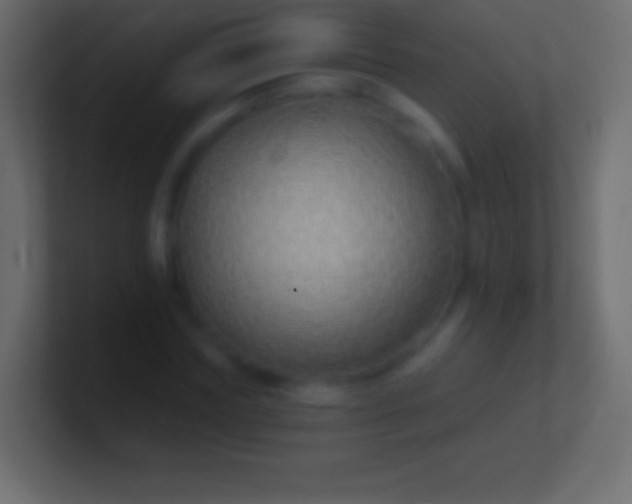 X0000100780827200807031229