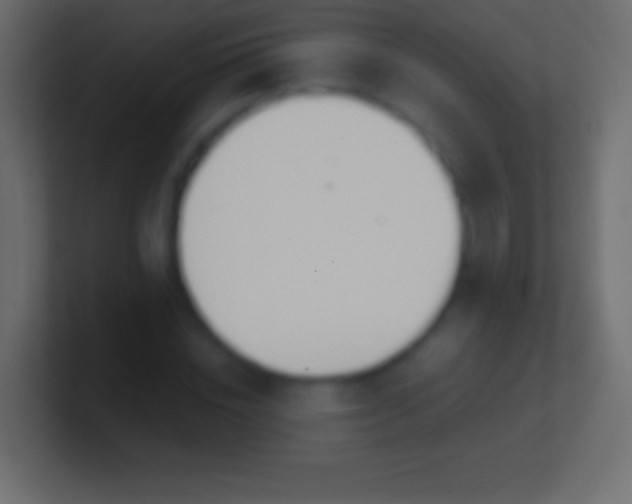 X0000100780828200807031229