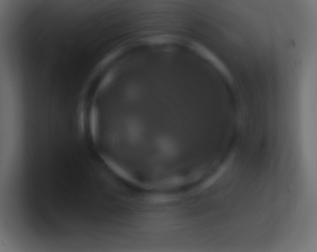 X0000100780829200807031229