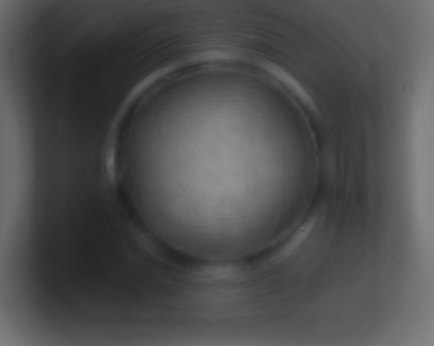 X0000100780830200807031229