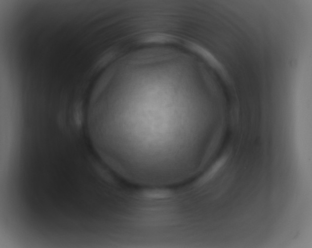 X0000100780833200807031229