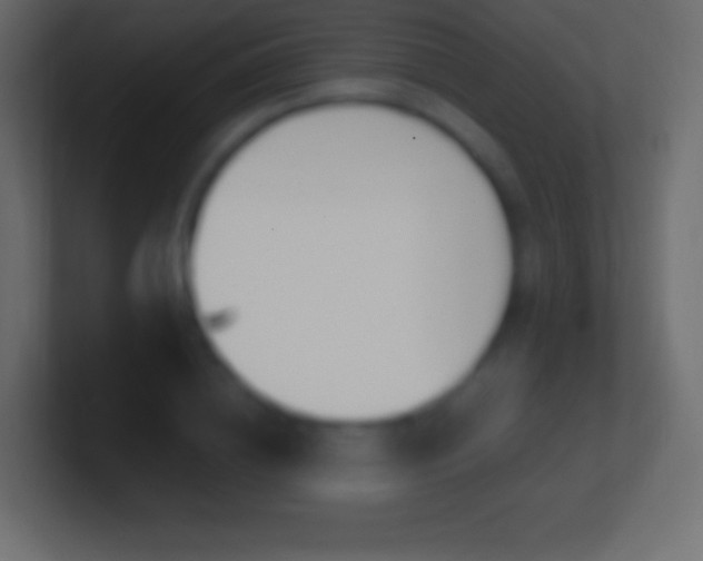 X0000100780836200807031229