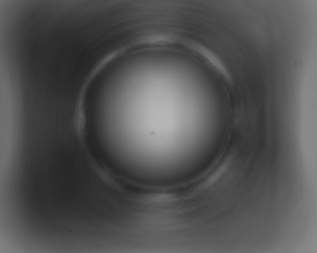 X0000100780837200807031230