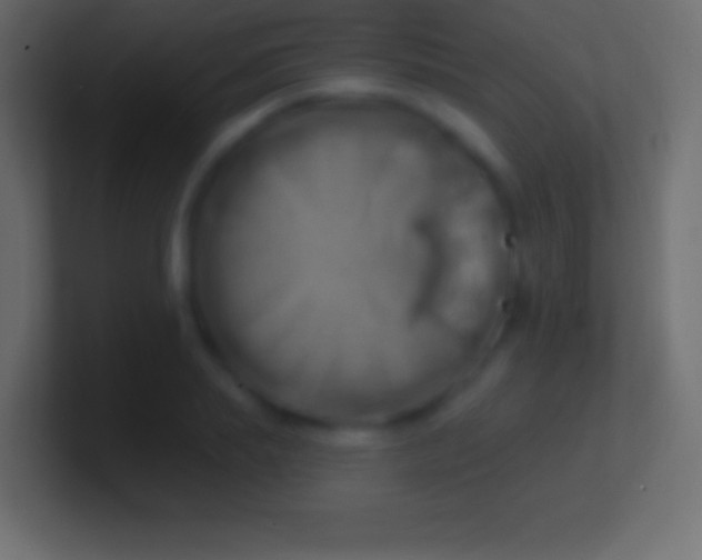 X0000100780839200807031230