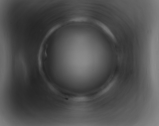 X0000100780845200807031230