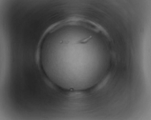 X0000100780846200807031230