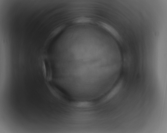 X0000100780849200807031230