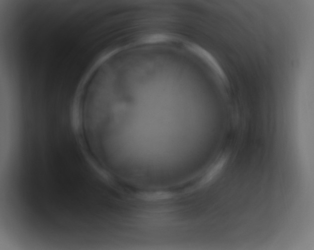 X0000100780851200807031230