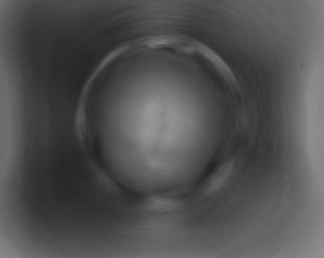 X0000100780852200807031230