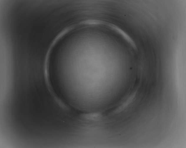 X0000100780853200807031230