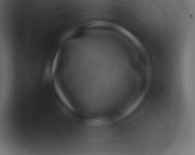 X0000100780857200807031230