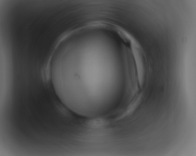 X0000100780858200807031230