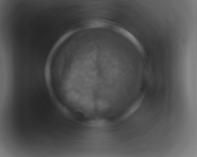 X0000100780859200807031230