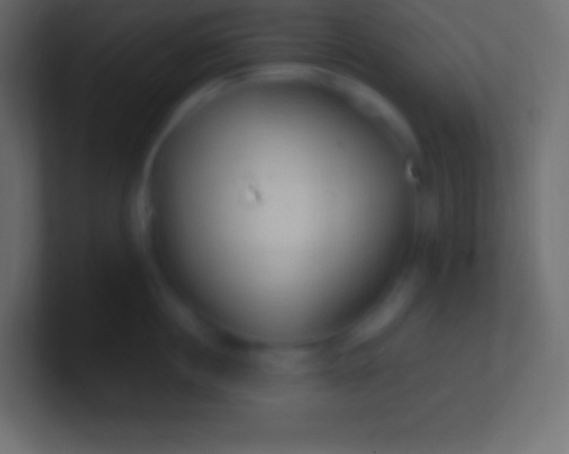 X0000100780860200807031230