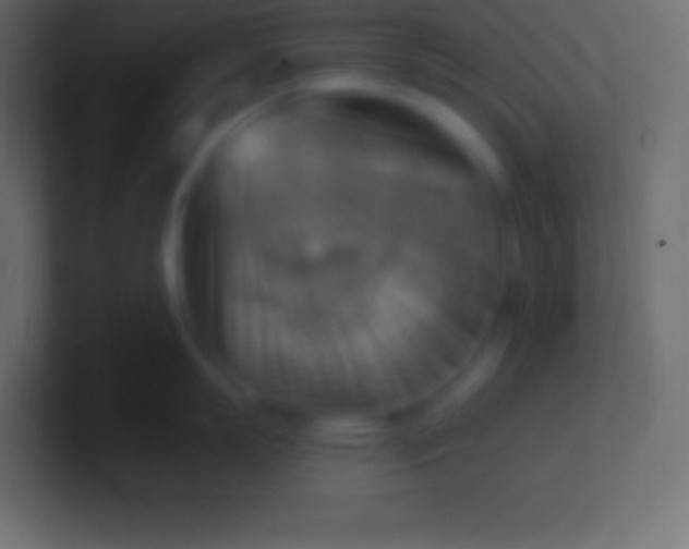 X0000100780863200807031230