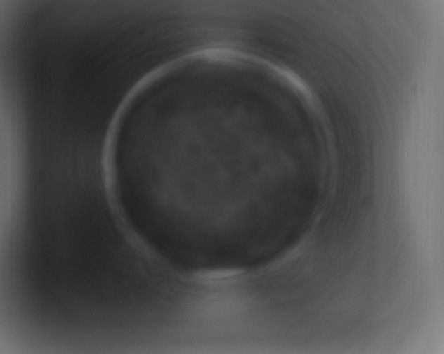 X0000100780864200807031230