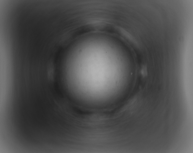 X0000100780867200807031229