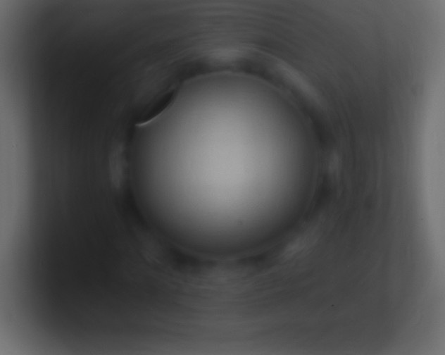 X0000100780868200807031229