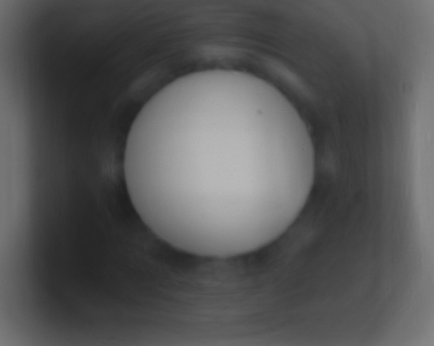 X0000100780869200807031229