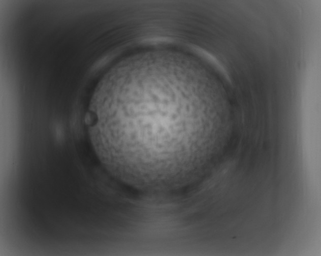 X0000100780871200807031229