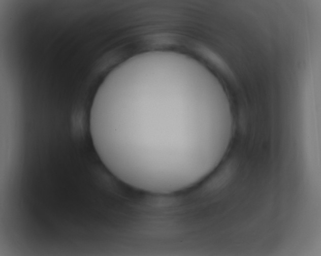 X0000100780873200807031229