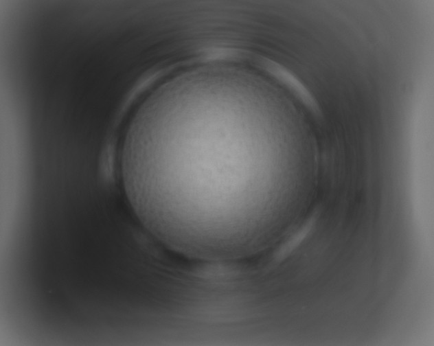 X0000100780875200807031229