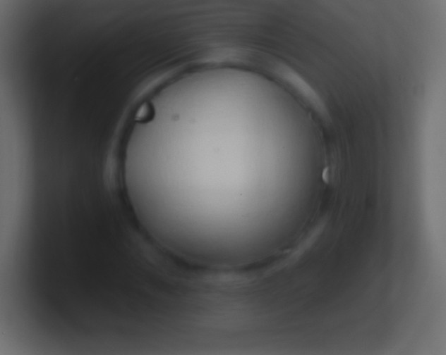 X0000100780876200807031229