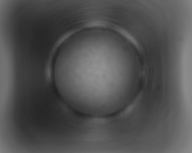 X0000100780877200807031229