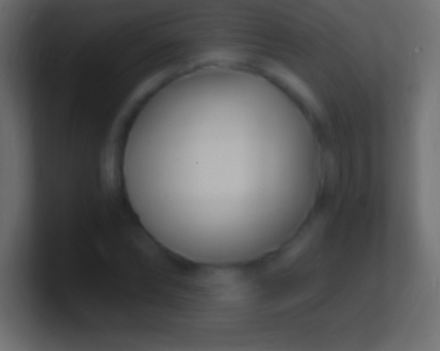 X0000100780878200807031229