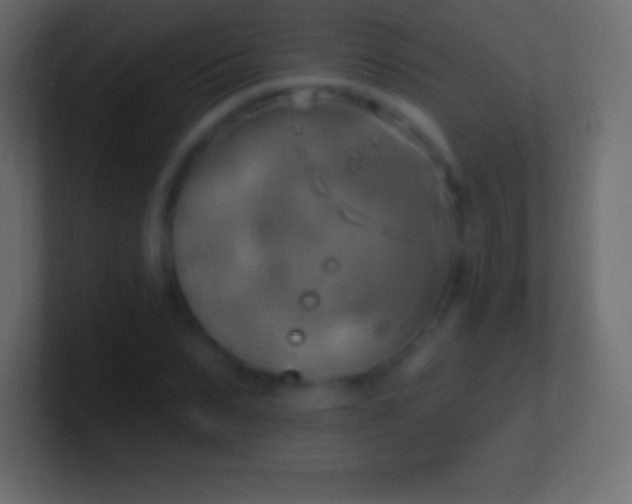 X0000100780879200807031229