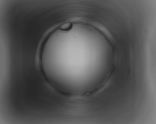 X0000100780880200807031229