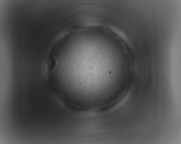 X0000100780881200807031229