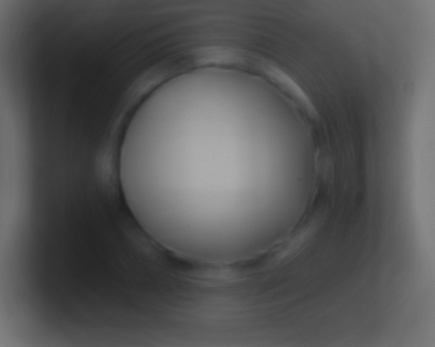 X0000100780882200807031229