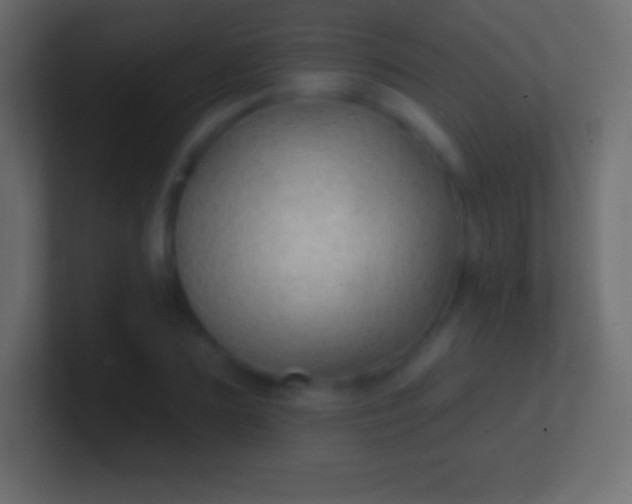 X0000100780883200807031229