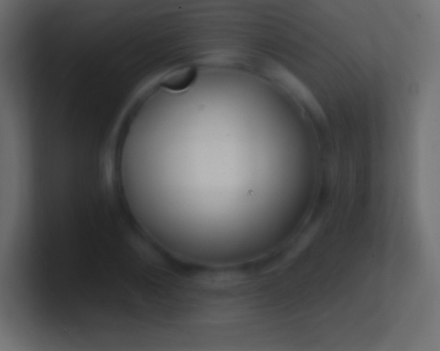 X0000100780884200807031229