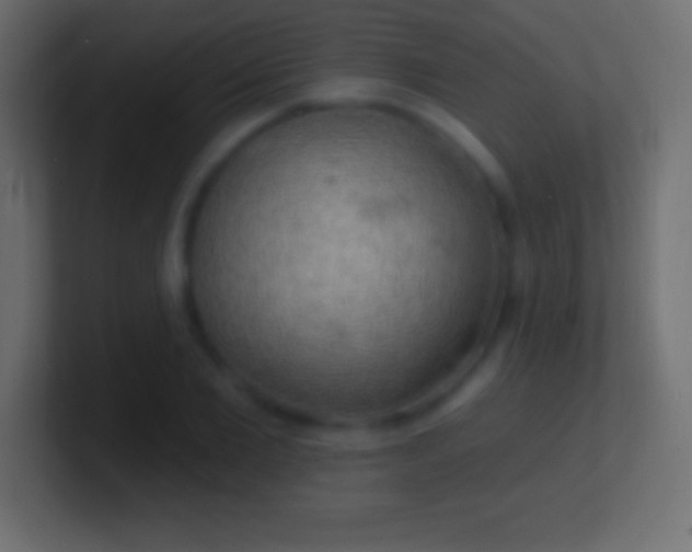 X0000100780885200807031229