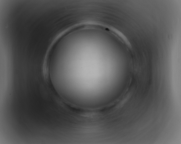 X0000100780887200807031229