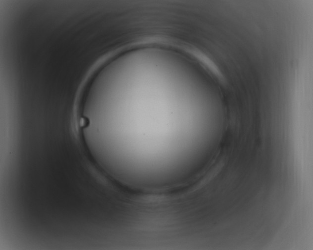 X0000100780888200807031229