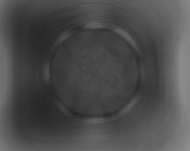 X0000100780889200807031229