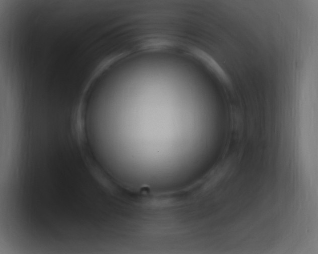 X0000100780890200807031229