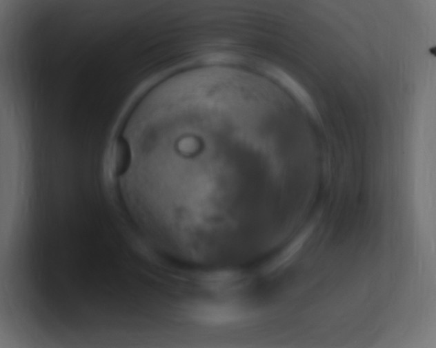 X0000100780891200807031229