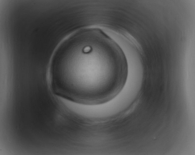 X0000100780892200807031229