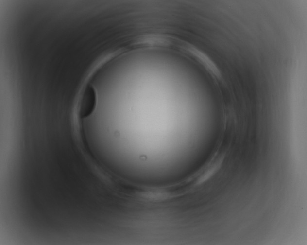 X0000100780893200807031229