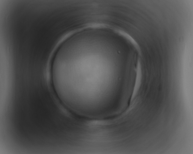 X0000100780894200807031229