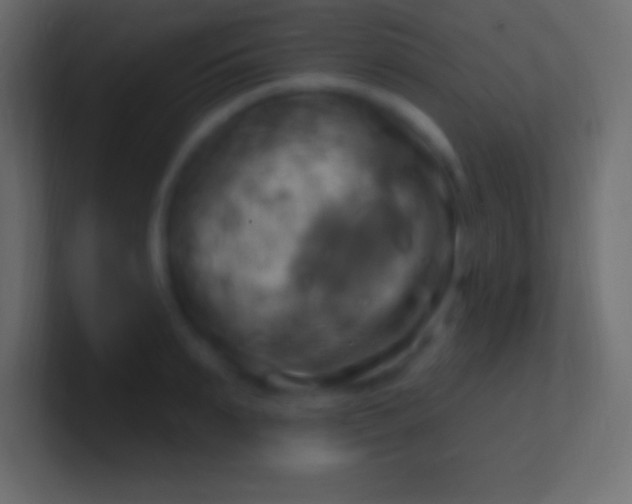 X0000100780895200807031229