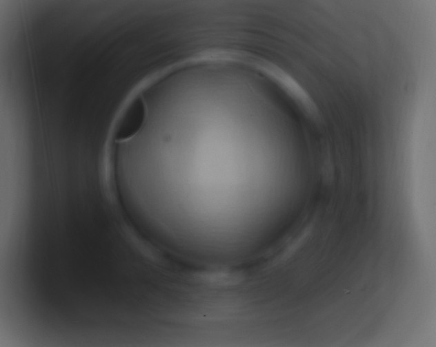 X0000100780896200807031229