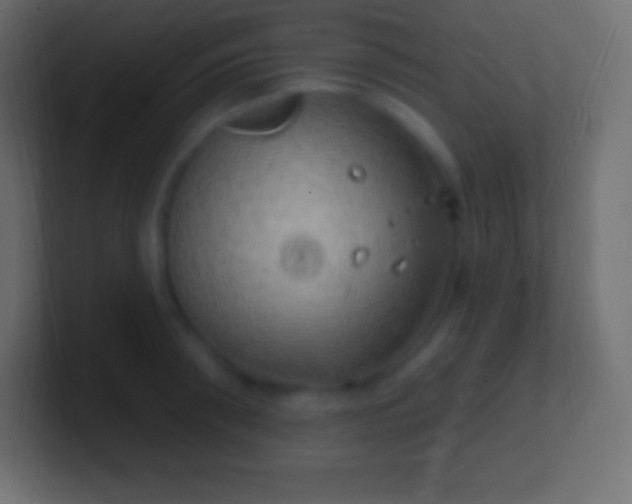 X0000100780898200807031229