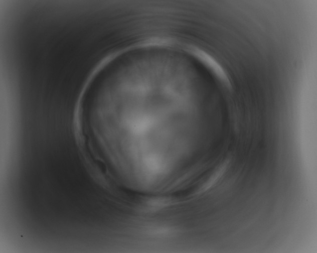 X0000100780899200807031229