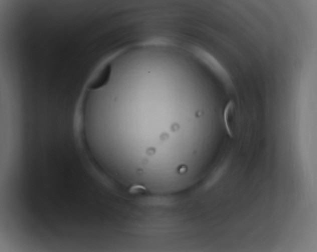 X0000100780900200807031229